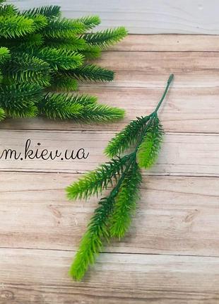 Ялина декоративна (букет, гілка) - гілка