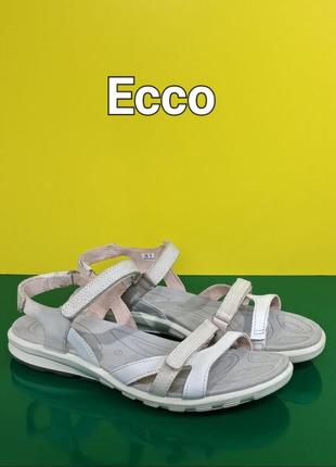 Шкіряні жіночі сандалії eco cruise оригінал