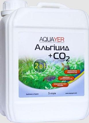 Препарат проти водоростей aquayer альгіцид+со2 5 л — хімія для боротьби з водоростями