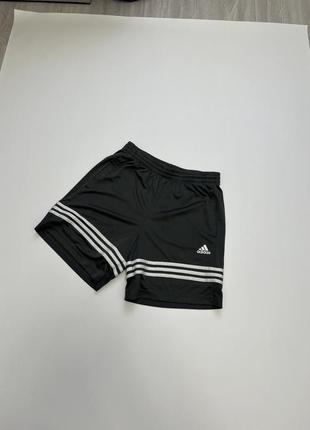 Мужские шорты adidas