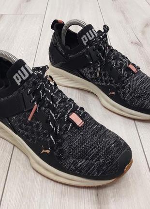 Жіночі кросівки puma ignite evoknit (24,5 см)