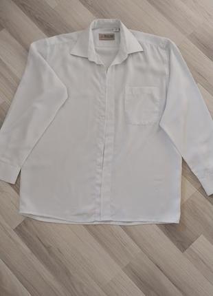 Сорочка чоловіча braun