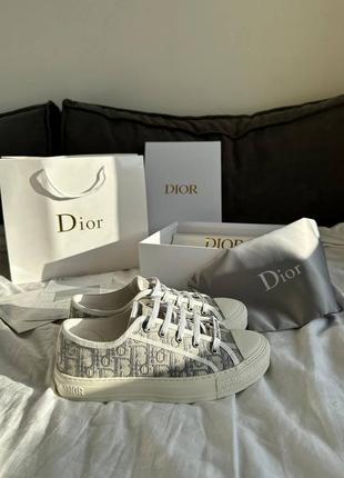 Dior sneakers low grey premium