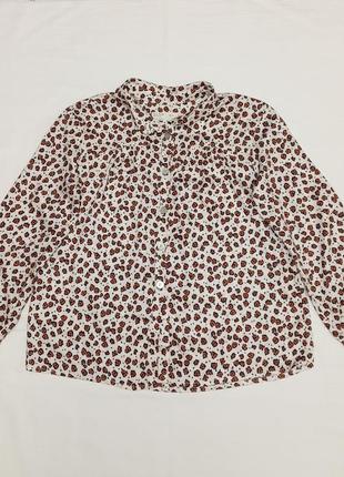 Шорты zara роста 140 7