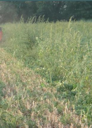 Лукоуборочная техника greenvich гринвич лук копатель косилка ботварезка стол сельхоз техника3 фото