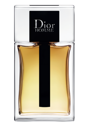 Dior homme 2020 туалетная вода 100ml