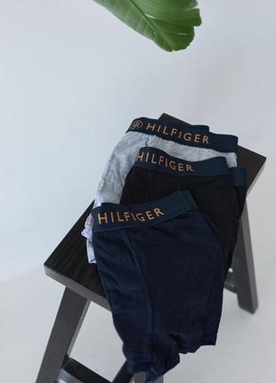 Труси tommy hilfiger (3 пари)