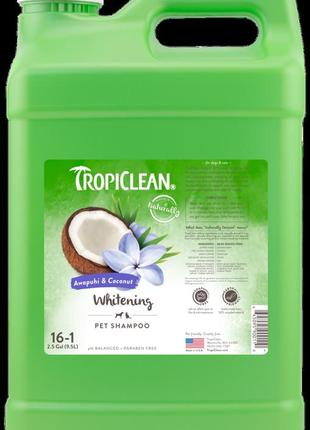 Шампунь тропиклин имбирь кокос для белой шерсти tropiclean для собак и кошек 9,5 л