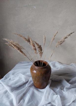 Сухоцвіт декор трава дикороси фотозона ваза трави