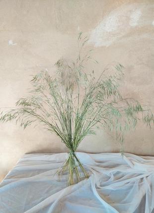 Букет трави сухоцвіту декор фотозона композиції декорації
