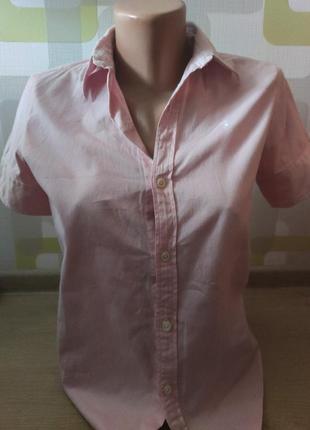 Ralph lauren сорочка жіноча