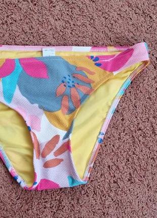 Ніз купальниках, трусіки.