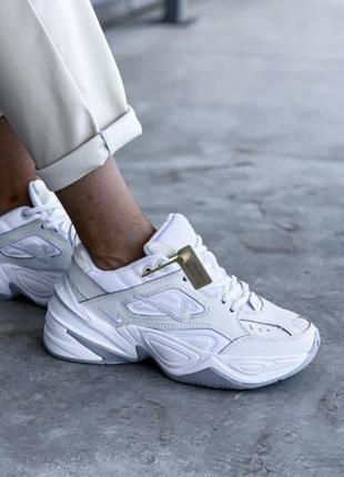 Кроссовки nike m2k white pure platinum