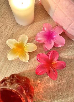 Крабик гавайский цветок плюмерия