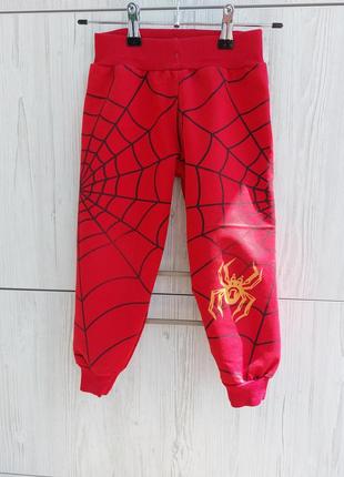 Спортивные штаны spider man