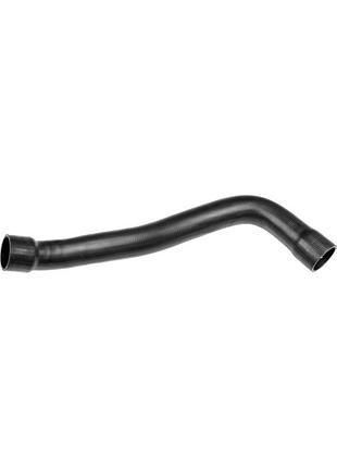 Шланг (патрубок) радіатора охолодження нижній daf xf 105 gates 05-4351