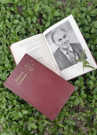 Павлин тычина 📚🐦 1976 год двухтомник поэзия украинская классика букистическое издание киев днипро