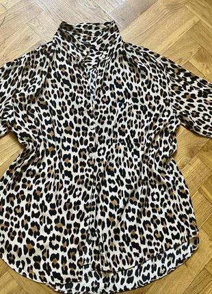 Сорочка, рубашка леопард zara