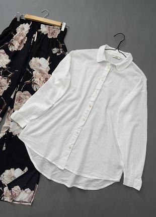 Блуза / блузка