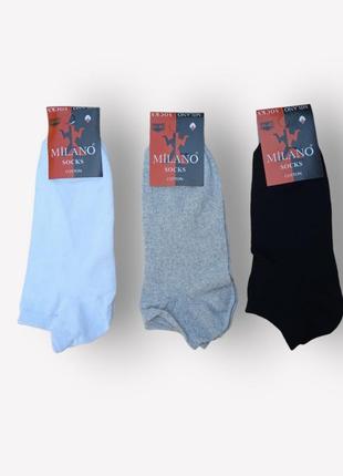 Упаковка коротких  носков  12 пар milano 100% бавовна   3 цвета 41-45 размер
