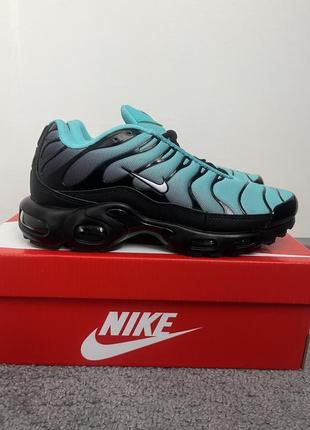 Кроссовки nike air max plus tn