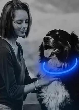 Світлодіодний вологостійкий нашийник для собак з usb-юсб розмір s 35 см
