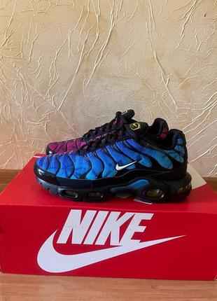 Кросівки nike air max plus blue/violet
