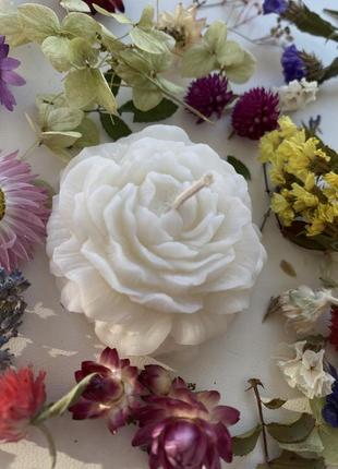 Пальмовий віск. ваніль + лаванда.