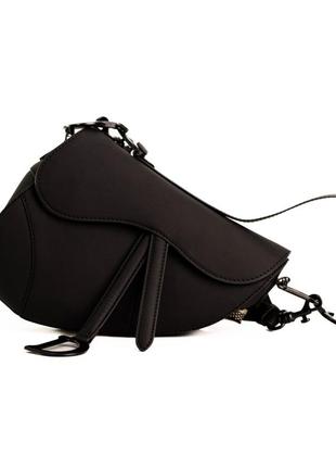 Dior saddle mate