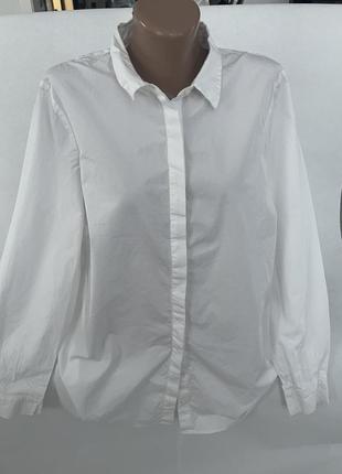 Базовая белая рубашка хлопок 100% autograph