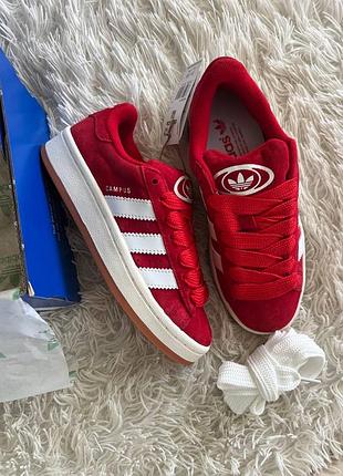 Adidas campus red