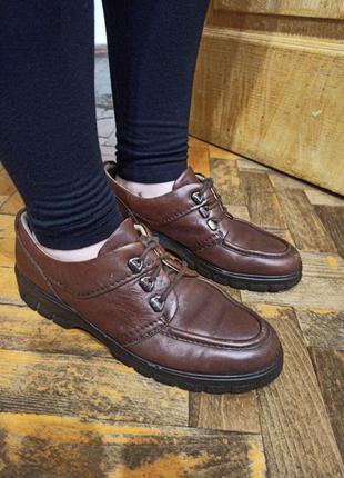 25,5 см кожаные туфли фирмы clarks мягкие и удобные, унисекс, хорошее состояние, 39,5-40, 5 размер, демисезонные