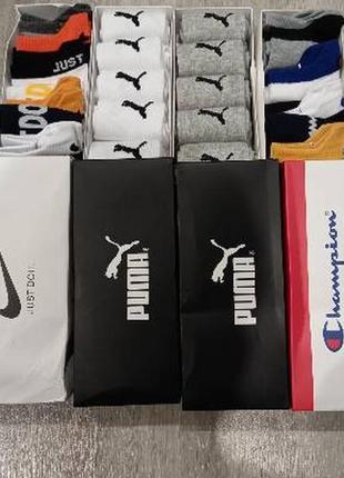 Мужские и женские носки chempion, puma, nike