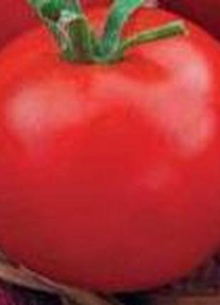 Семена томата "леди совершенство"