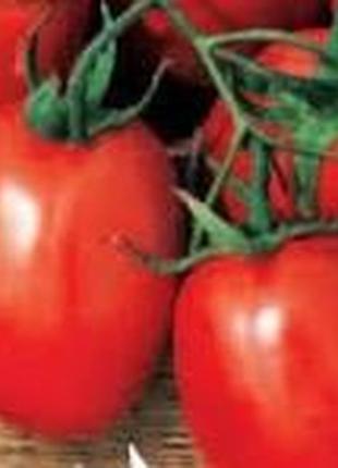 Семена томата "пето"
