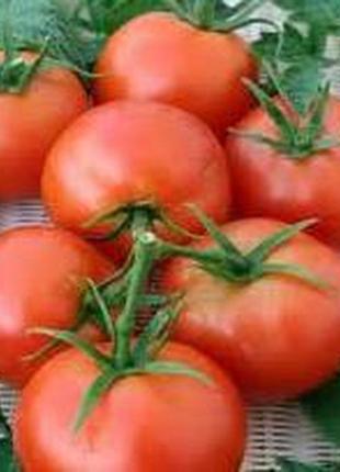 Семена томата "данна"