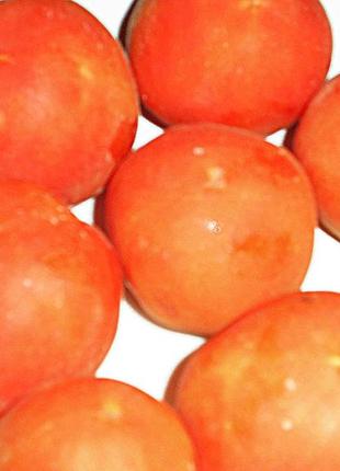 Семена томата "бархатные"