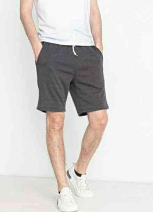 Шорты т.р. цвета