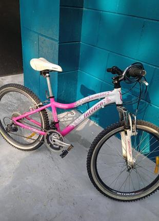 Велосипед intenzo жасмин