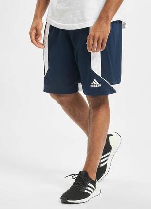 Мужские спортивные шорты adidas / тренировочные шорты адидас оригинал
