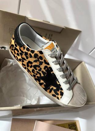 Кеди golden goose