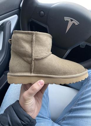 Ugg mini khaki 362 фото