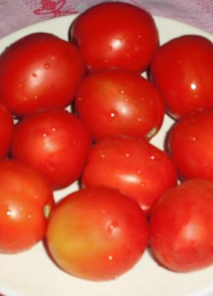 Семена томата "маруся"