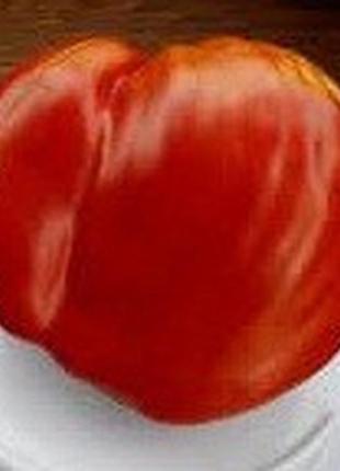 Семена томата гребешки