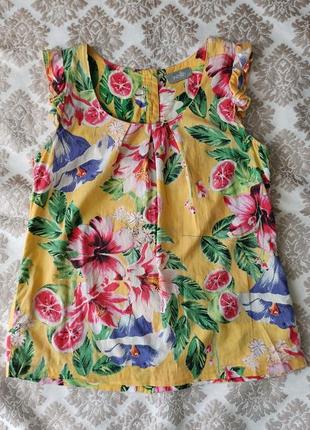 Яскрава літня бавовняна  блуза з "крильцями", з ґудзиками на спині