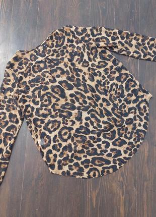 Блузка leopard крем шифон