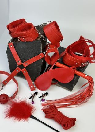 Бдсм набор для ролевых игр батиг, маска, кляп, наручники и поножи, зажимы на соски, веревка