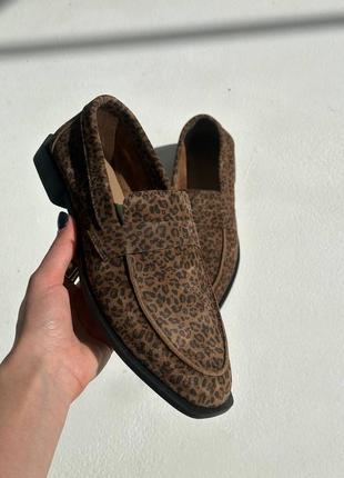 Лофери леопард