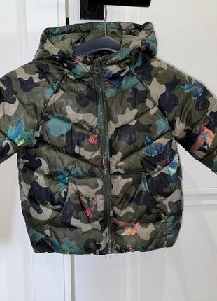 Куртка zara 110