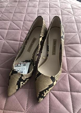 Туфлі, взуття zara
